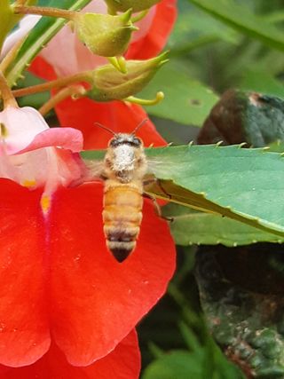 새리님의 자유주제 · 자유게시판 작성글 사진