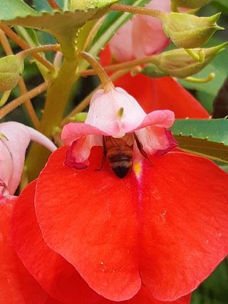 새리님의 자유주제 · 자유게시판 작성글 사진