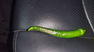 안종※님의 고추 · 병해충상담 작성글 사진