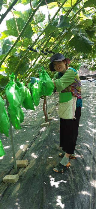 윤세열님의 포도 · 자유게시판 작성글 사진