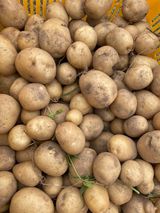 팜모닝 감자·자유게시판 게시글 이미지