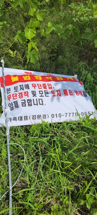 윤석돈님의 옥수수 · 자유게시판 작성글 사진