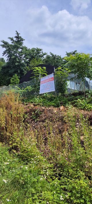 윤석돈님의 옥수수 · 자유게시판 작성글 사진