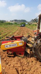 팜모닝 감자·자유게시판 게시글 이미지