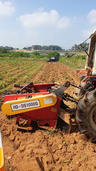 송하영님의 감자 · 자유게시판 작성글 사진