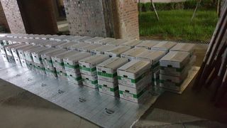 송하영님의 감자 · 자유게시판 작성글 사진