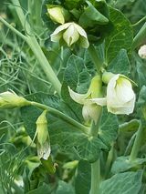 팜모닝 자유주제·자유게시판 게시글 이미지