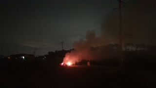 농부아내님의 마늘 · 일상 작성글 사진