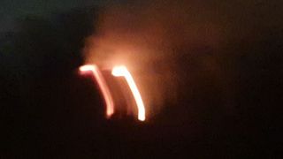 농부아내님의 마늘 · 일상 작성글 사진