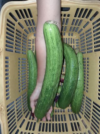 행복의집1592님의 자유주제 · 자유게시판 작성글 사진