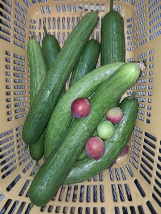 행복의집1592님의 자유주제 · 자유게시판 작성글 사진