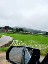 팜모닝 우리동네·동네수다 게시글 이미지