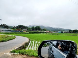 기원운님의 우리동네 · 동네수다 작성글 사진