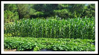 이서울비님의 자유주제 · 자유게시판 작성글 사진