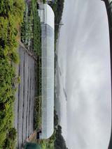 팜모닝 자유주제·자유게시판 게시글 이미지