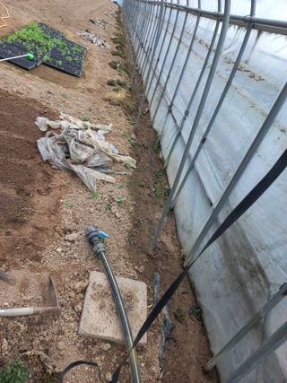 농민님의 기타작물 · 자유게시판 작성글 사진