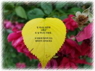 해뜨는농원/강혜광님의 들깨 · 자유게시판 작성글 사진