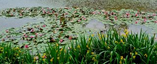 템즈님의 자유주제 · 자유게시판 작성글 사진