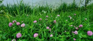 템즈님의 자유주제 · 자유게시판 작성글 사진