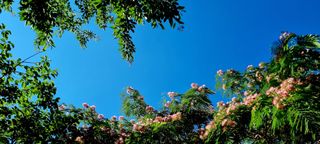 템즈님의 자유주제 · 자유게시판 작성글 사진