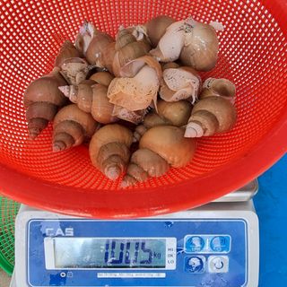 노가네수산님의 우리동네 · 동네정보 작성글 사진