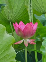 팜모닝 우리동네·동네자랑 게시글 이미지