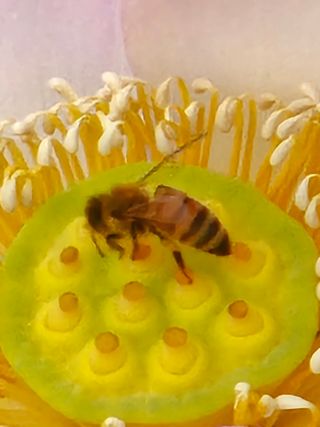 양철주님의 우리동네 · 동네자랑 작성글 사진