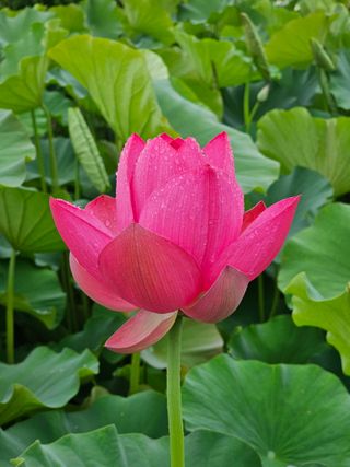 양철주님의 우리동네 · 동네자랑 작성글 사진