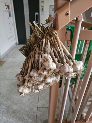 양철주님의 우리동네 · 동네자랑 작성글 사진