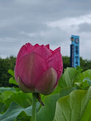 양철주님의 우리동네 · 동네자랑 작성글 사진