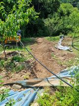 팜모닝 장마 대비 어떻게 하셨나요?·참여 게시글 이미지