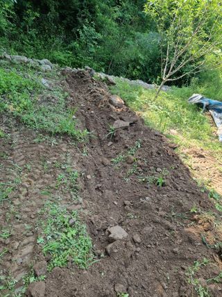 고봉농원 김경수님의 장마 대비 어떻게 하셨나요? · 참여 작성글 사진