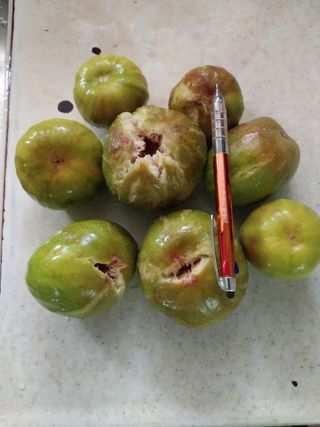 뿌리님의 자유주제 · 자유게시판 작성글 사진