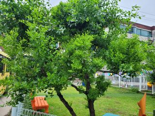 조영락님의 자유주제 · 자유게시판 작성글 사진