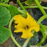 팜모닝 장터이야기·자유게시판 게시글 이미지