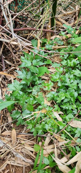 김*춘님의 작성글 사진