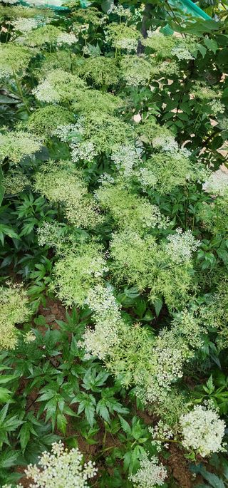 김*춘님의 작성글 사진