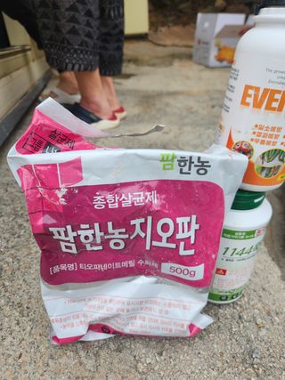 이경문님의 감 · 영농일지 작성글 사진