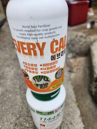 이경문님의 감 · 영농일지 작성글 사진