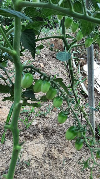 전미선님의 자유주제 · 자유게시판 작성글 사진