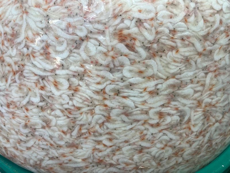 목포 물좋은수산님의 장터 판매 상품 [최상급 햇 육젓2kg] 첨부 사진