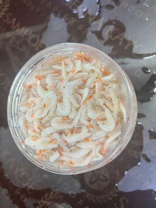 목포 물좋은수산님의 작성글 사진