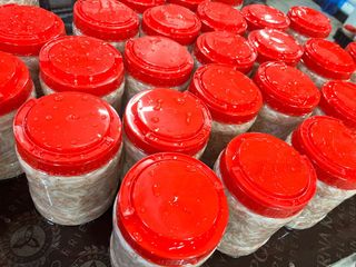 목포 물좋은수산님의 작성글 사진