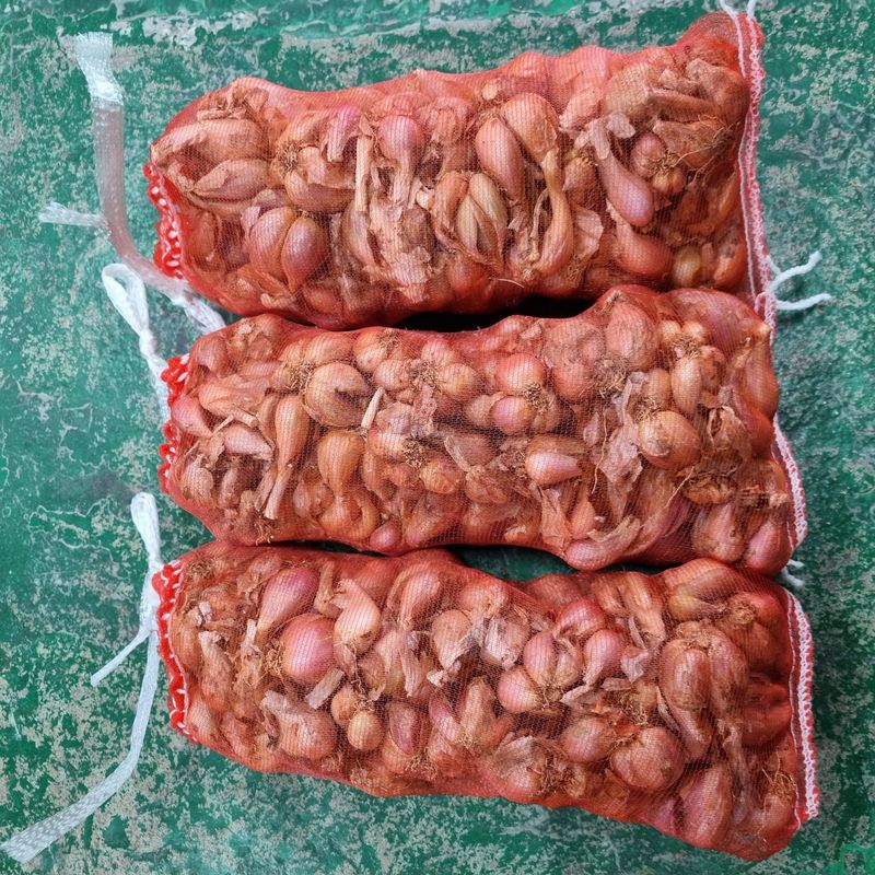 장터 상품 [쪽파 씨앗 1kg] 썸네일