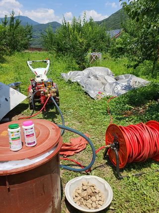 코지팜스테이님의 복숭아 · 영농일지 작성글 사진