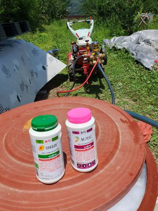 코지팜스테이님의 복숭아 · 영농일지 작성글 사진