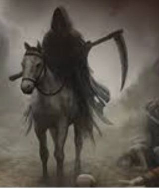 알 수 없음님의 사과 · 병해충상담 작성글 사진