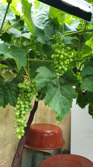 이봉수님의 자유주제 · 자유게시판 작성글 사진