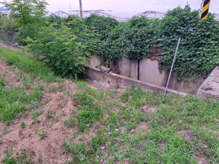 정재운님의 장마 대비 어떻게 하셨나요? · 참여 작성글 사진