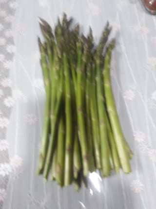 김은숙님의 기타작물 · 병해충상담 작성글 사진